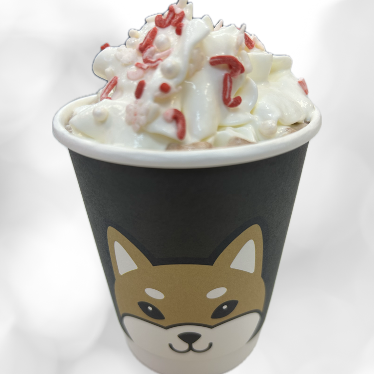 Delicious Hot Chocolate Options